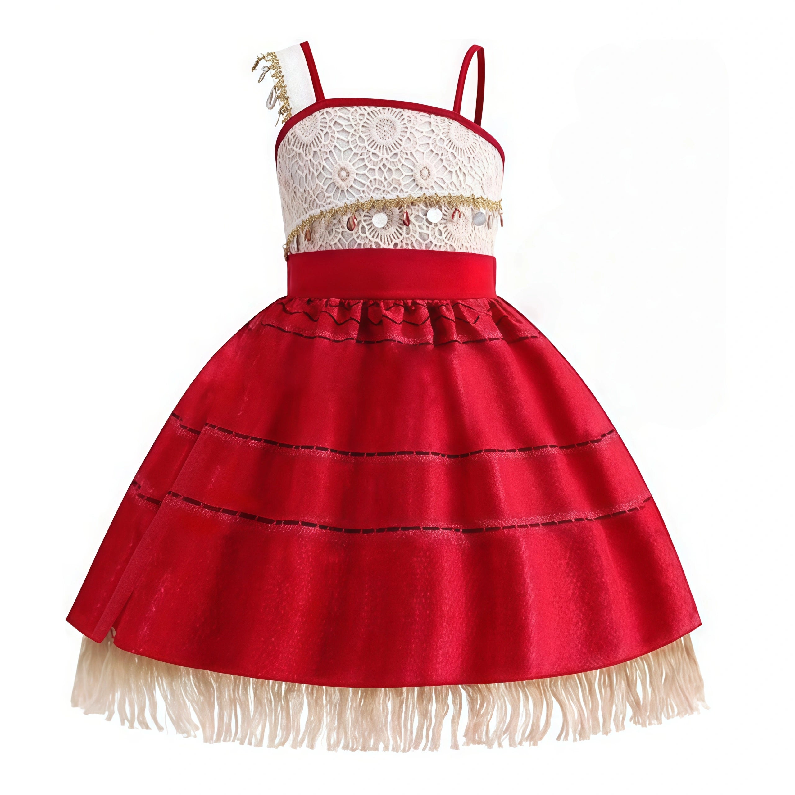 Nolangs Princess Dress for Girls with Accessories Costume